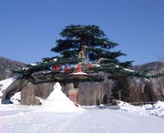 西安今天天气