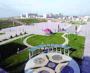 康保天气预报40天