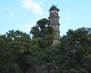 蓝山今天天气