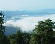 屏山今天天气