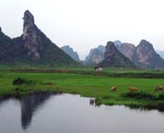 清城今天天气