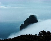 金秀今天天气